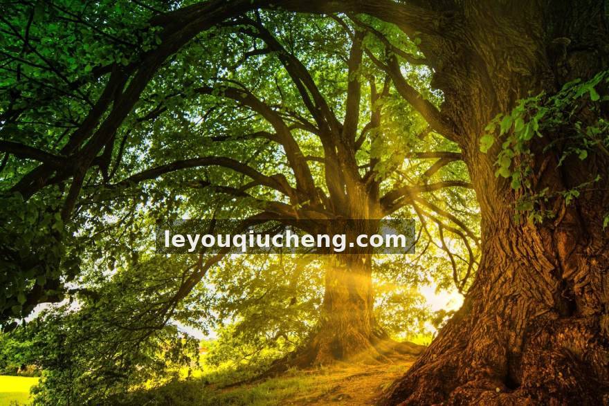 企鹅电竞 版本更新后的赛场风向榜：哪些战术思路正在被主流赛事重新拾起